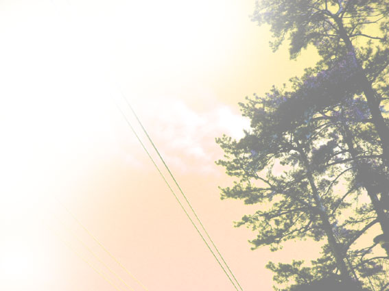 �ނ̕�������ڂ��@���̊����͍��ł��Y����Ȃ��@�S�̒��̂ЂƂ̃h�A�ɉi����