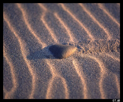 ����Ǝ��i�ƌy�̂Ł@�l�𔛂�